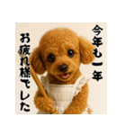 毎年使える♡トイプードルの年末年始（個別スタンプ：15）