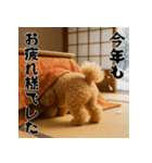 毎年使える♡トイプードルの年末年始（個別スタンプ：16）