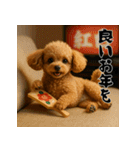 毎年使える♡トイプードルの年末年始（個別スタンプ：17）