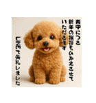 毎年使える♡トイプードルの年末年始（個別スタンプ：18）