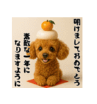 毎年使える♡トイプードルの年末年始（個別スタンプ：19）