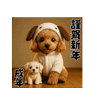 毎年使える♡トイプードルの年末年始（個別スタンプ：39）