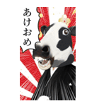 午年アニマルマスク☆お正月2026【BIG】（個別スタンプ：5）