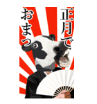 午年アニマルマスク☆お正月2026【BIG】（個別スタンプ：16）