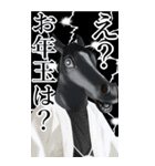 午年アニマルマスク☆お正月2026【BIG】（個別スタンプ：23）