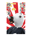 午年アニマルマスク☆お正月2026【BIG】（個別スタンプ：36）