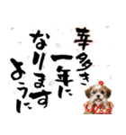 笑顔で迎える2026♡お正月シーズー年賀（個別スタンプ：11）