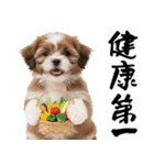 笑顔で迎える2026♡お正月シーズー年賀（個別スタンプ：17）