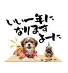 笑顔で迎える2026♡お正月シーズー年賀（個別スタンプ：18）