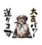 笑顔で迎える2026♡お正月シーズー年賀（個別スタンプ：19）