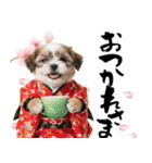 笑顔で迎える2026♡お正月シーズー年賀（個別スタンプ：21）