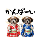 笑顔で迎える2026♡お正月シーズー年賀（個別スタンプ：22）
