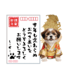 笑顔で迎える2026♡お正月シーズー年賀（個別スタンプ：25）