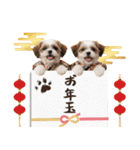 笑顔で迎える2026♡お正月シーズー年賀（個別スタンプ：26）