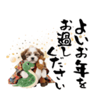 笑顔で迎える2026♡お正月シーズー年賀（個別スタンプ：31）