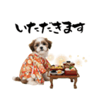 笑顔で迎える2026♡お正月シーズー年賀（個別スタンプ：34）