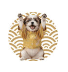 笑顔で迎える2026♡お正月シーズー年賀（個別スタンプ：39）