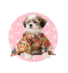 笑顔で迎える2026♡お正月シーズー年賀（個別スタンプ：40）