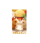 飛び出す！謹賀新年(午年・2026年）（個別スタンプ：18）