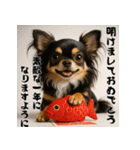 毎年使える♡ロングコートチワワの年末年始（個別スタンプ：3）
