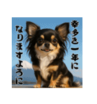 毎年使える♡ロングコートチワワの年末年始（個別スタンプ：4）