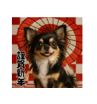 毎年使える♡ロングコートチワワの年末年始（個別スタンプ：10）
