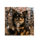 毎年使える♡ロングコートチワワの年末年始（個別スタンプ：11）