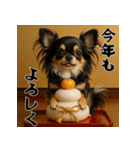 毎年使える♡ロングコートチワワの年末年始（個別スタンプ：12）