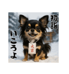 毎年使える♡ロングコートチワワの年末年始（個別スタンプ：13）