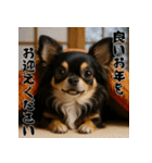 毎年使える♡ロングコートチワワの年末年始（個別スタンプ：15）