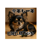 毎年使える♡ロングコートチワワの年末年始（個別スタンプ：17）