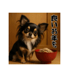 毎年使える♡ロングコートチワワの年末年始（個別スタンプ：18）
