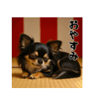 毎年使える♡ロングコートチワワの年末年始（個別スタンプ：24）