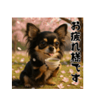 毎年使える♡ロングコートチワワの年末年始（個別スタンプ：25）