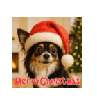 毎年使える♡ロングコートチワワの年末年始（個別スタンプ：28）