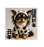 毎年使える♡ロングコートチワワの年末年始（個別スタンプ：30）
