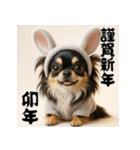 毎年使える♡ロングコートチワワの年末年始（個別スタンプ：32）