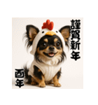 毎年使える♡ロングコートチワワの年末年始（個別スタンプ：38）