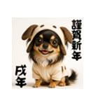 毎年使える♡ロングコートチワワの年末年始（個別スタンプ：39）