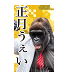 サングラスしたゴリラの正月2026【BIG】（個別スタンプ：14）