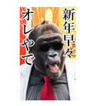 サングラスしたゴリラの正月2026【BIG】（個別スタンプ：31）