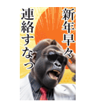 サングラスしたゴリラの正月2026【BIG】（個別スタンプ：35）
