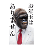 サングラスしたゴリラの正月2026【BIG】（個別スタンプ：37）