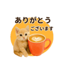 冬♡年末年始のねこの日常（個別スタンプ：2）