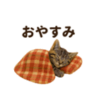 冬♡年末年始のねこの日常（個別スタンプ：6）