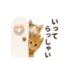 冬♡年末年始のねこの日常（個別スタンプ：9）