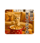 冬♡年末年始のねこの日常（個別スタンプ：12）