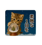 冬♡年末年始のねこの日常（個別スタンプ：14）