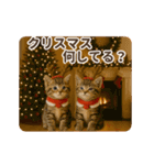 冬♡年末年始のねこの日常（個別スタンプ：16）