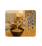 冬♡年末年始のねこの日常（個別スタンプ：17）